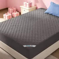 【BEDLORE】Cooling Waterproof Bamboo Mattress Pad with Fitted Sheet, Small Copper Coin Pattern, Silent & Breathable, Ideal for Bedroom & Home Use Bed Pads HomeEssentials
