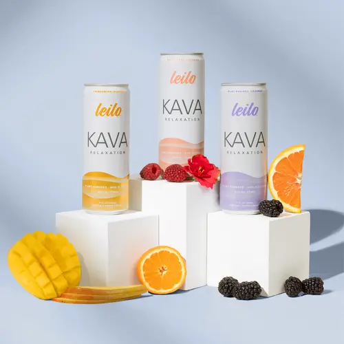 Leilo Kava Relaxation Drink Variety Pack - 12 Cans | Non-Alcoholic Functional Beverage with Kava & L-Theanine | Gentle Relaxation Support Canned
