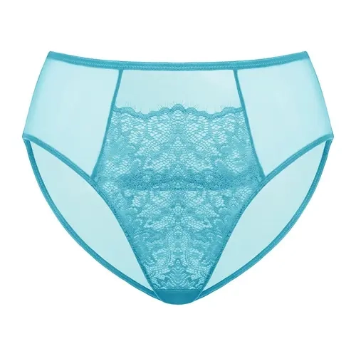 HSIA Sunflower Floral Lace Sheer Mesh Back Bikini Underwear High-Rise Brief Matching Panty