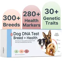 Basepaws Dog DNA Test Kit – 300+ Breeds, 280+ Genetic Health Risks, and 30+ Traits - 1 Pack - Comprehensive Dog DNA test for Ancestry & Health Care, Health Screening, Breed Analysis