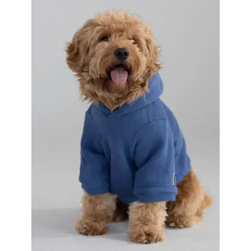 Comfrt Paws | Standard Paw Hoodie | Outdoor Clothing Outfit Puppy Sweater