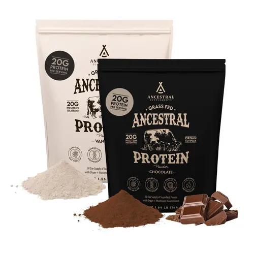 Ancestral Supplements Grass Fed Protein Powder Vanilla Beef Bone Broth Based with Beef Organs & Organic Mushrooms Gut Health Support High Protein Supplement 20g Protein Per Serving 30 Day Supply  Lean Muscle Booster Dietary Optimum