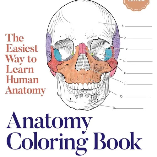 Anatomy Coloring Book with 450+ Realistic Medical Illustrations with Quizzes; Learning Systems -- Stephanie McCann