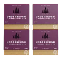 BERRY UNDERBRUSH Remineralizing Chewing Gum with Nano-Hydroxyapatite for Teeth and Gum Protection - 30 DAY SUPPLY Sweet Natural