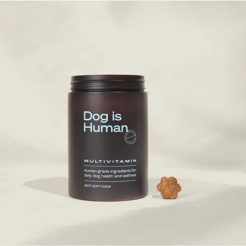 Dog is Human Daily Multivitamin for Dogs (Chicken Flavor) Human-grade, Vet-formulated, Made in Vermont