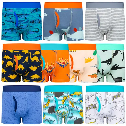 BIG ELEPHANT Boys 10 Pack Boxer Briefs 100% Cotton Soft Breathable Underwear for Toddlers Kids with Solid Colors Sport Dinosaur and Car Prints Sizes 4T-9Y,sohochic