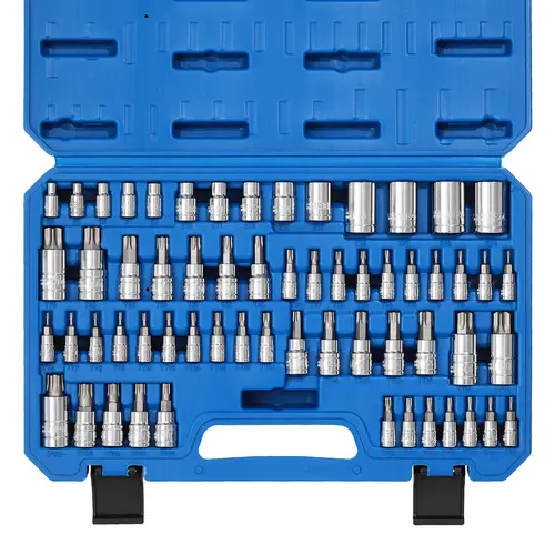 CASOMAN 60-Piece Master Drive Socket Set with S2 Cr-V Steel Precisely Machined Bits, E4-E24 Sizes, Torx Plus & External Profiles (T6-T70, TT6-TT70, TP8-TP60), Chrome Finish, Rust-Resistant, Manufacturer Warranty, #tool upgrade,toolupgrade