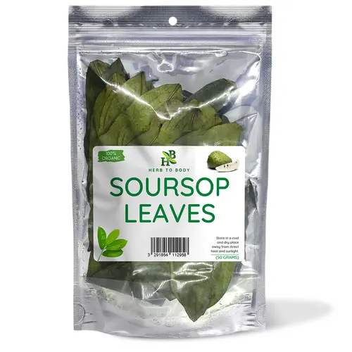 Organic Soursop Leaves – Dried Whole Leaf Herbal Tea – 1.76 oz (50 g) | Herb To Body