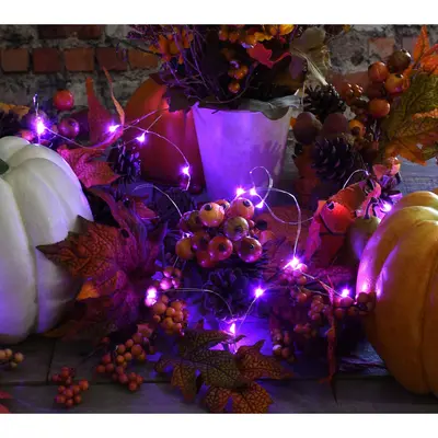 LumaBase Set of 2 Battery Operated Fairy StringLights
