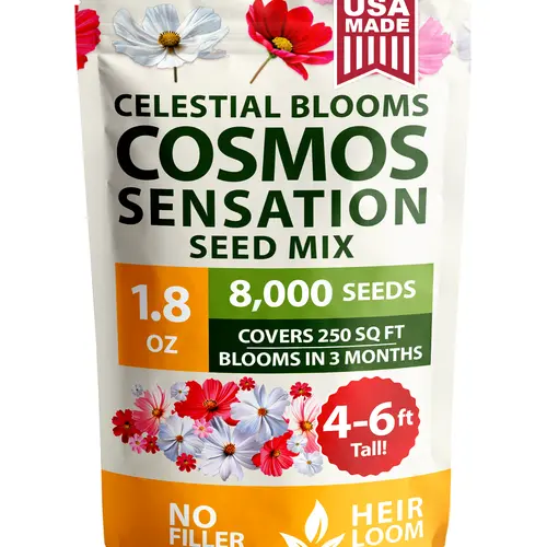 Heirloom Cosmos Flower Seeds Bulk Pack (1.8 oz, 8000 Count) - Outdoor Grow-at-Home Annuals with Cottage Look, Sustainable Choice, Natural Seeds Flowers, Ideal for Gardens