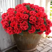 8-Pack UV-Resistant Plastic Artificial Geraniums - Luxury Decorative Flowers for Garage, Kitchen, Balcony Home Use (Indoor/Outdoor Hanging Pots, Porch, Window, Toilet Accents, Red)