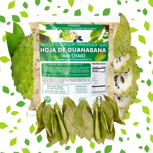 Yerbero Premium Whole Sun-Dried Graviola Loose Leaf Herbal Tea (4 oz - 300+ Leaves/Bag), Vegan-Friendly, 100% Natural, From Mexico, Wildcrafted Dried Soursop Leaves Fruit & Herbal Tea Beverage