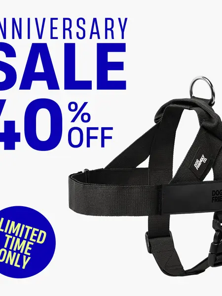 Dog Friendly Co. Walking Harness - Easy-to-Fit No-Pull, Chafe-Resistant Lightweight Adjustable Straps, Simple Clip - Secure Walks, All-Day Wear Comfort for All Dogs