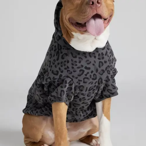 Comfrt Paws | Minimalist Hoodie | Soft Pet Matching Hoodie Puppy