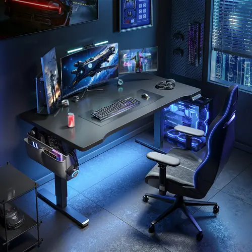 【Smart Memory Height】Raybee Electric Standing Gaming Desk with LED 56'' Sit Stand Up Desk Adjustable Height 3 Memory Preset Computer Home Office Desk with Side Pocket