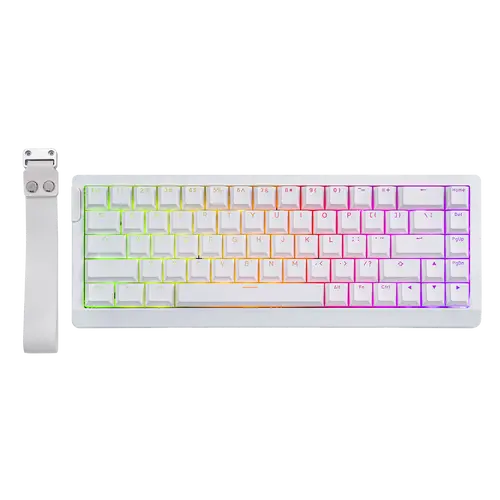 EPOMAKER HE68 Lite 65% ANSI US Layout Tray-Mounted Wired Hall Effect Magnetic Mechanical Keyboard DKS SOCD thocky creamykeyboards Tri-Mode USB-C/BT 5.0/2.4GHz Customizable RGB for PC/Mac/Linux creamy keyboard keyboards for gaming dealsforyoudays