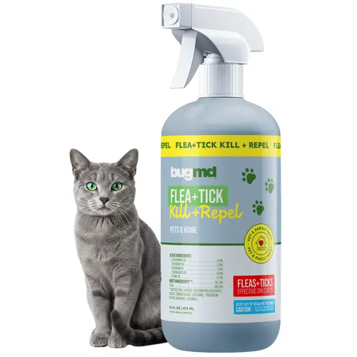 BugMD Flea and Tick Spray for Dogs and Cats – Kills & Repels on Contact – Plant-Powered Flea Treatment for Home, Furniture & Carpet | Makes 32 oz