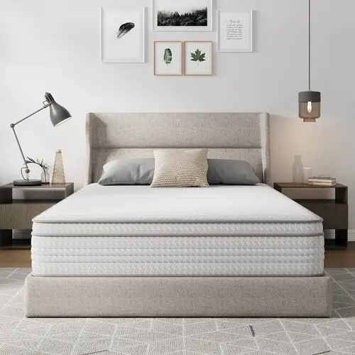 Fiberglass-Free &Twin/Full/Queen/King Mattress  10/12/14 Inch-Perfect Balance of Softness & Firmness: High-Quality Mattress for All Sleepers & Body Alignment-Motion Isolation Mattress, Foam Filling Mattress, Premium Bed Mattress,sohochic
