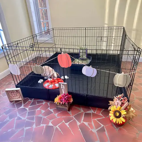 Aivituvin-AIR71 Small Pet Habitat with PVC Floor - Portable Puppy & Bunny Playpen, Secure Space for Guinea Pigs, Dog Crate