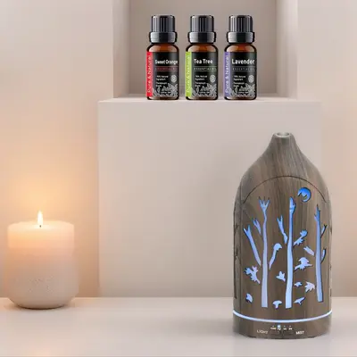 Aromatherapy Diffuser  Auto Shut Off, Ultra Quiet, 3  Oils  Perfect for Stress Relief, Sleep & Mindfulness jellyfish humidifier house humidificador  de  aroma lifelines  diffuser