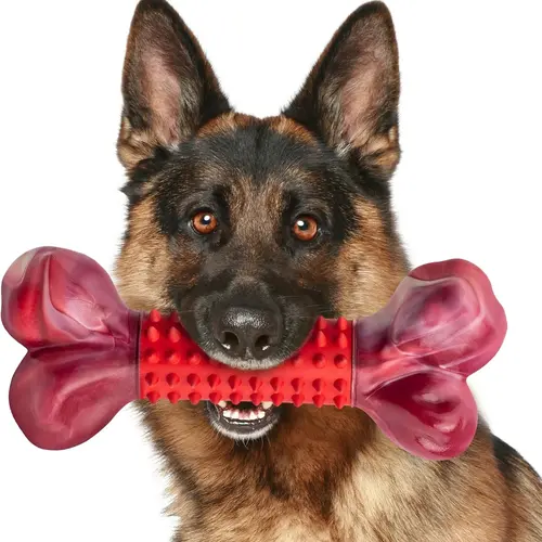 Apasiri Durable Chew Toy for Strong Dogs, Sturdy Toy for Large Breeds, Indestructible Chew Toy, Interactive Dog Toy, Dog Teeth Grinding Toy, Large Dog Toy, Dog Birthday Toy