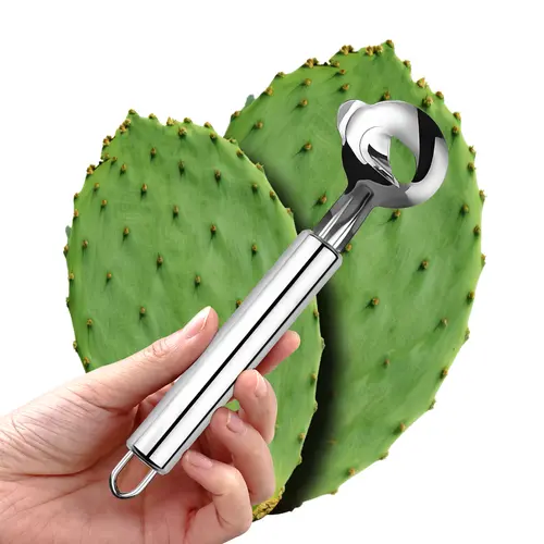 Stainless Steel Kitchen Utensils Tool Set - Rust-Resistant Cactus & Blush Pink Peelers, Multi-Functional Spoon-Shaped Vegetable Fruit Cutter with Sharp Blade for Better Control, Durable Kitchen Accessories for Noodle, Food Peeling & Home Meal Prep,sohochi