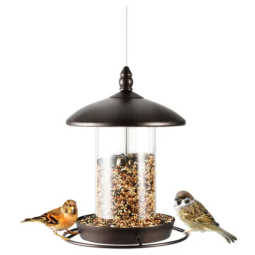 Backyard Expressions Metal Hanging Bird Feederor Outside