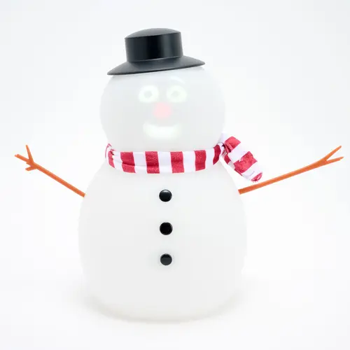 Frostbyte 12" Animated Talking Snowman
