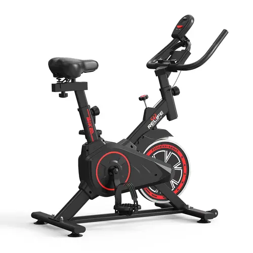 RELIFE Stationary Bike - Silent Home Fitness Exercise Bike with Alloy Steel Frame, Quiet Belt Drive, Adjustable Seat, Cardio at Home Workout Equipment