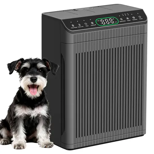 MORENTO 066 Large Household Air Purifier, 1096 ft² Coverage, PM2.5 Display, Aroma Diffuser, Child Lock, Adjustable Real-Time Air Quality Monitor, Wildfire Smoke/Ash/Odor Remover, Pet Mode, Auto Sensor, for Home, Office, Living Room, Allergy Relief