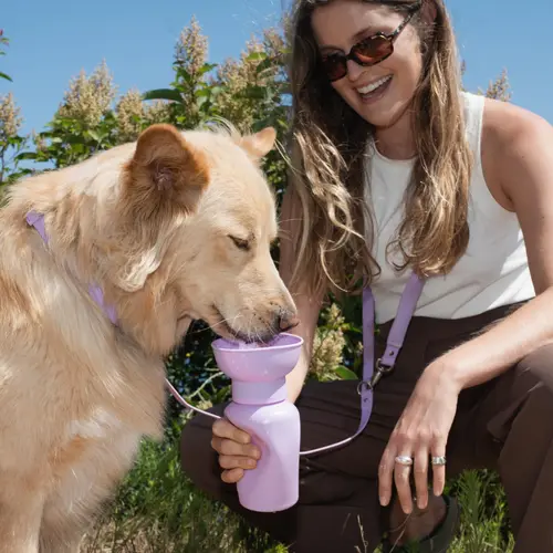 20oz Flip Travel Dog Water Bottle