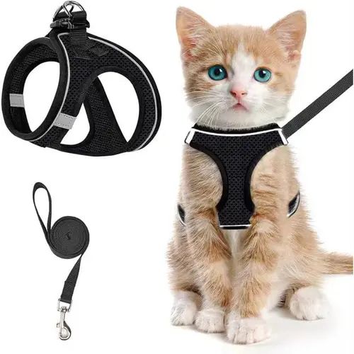 Escape Proof Cat Harness & Leash (6-29 lbs) Adjustable Reflective Soft Mesh Vest for Easy Safe Walks with Leash Included, Back to School, Also Suitable for Small Dogs
