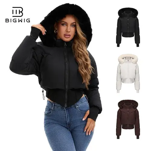BIGWIG Women's Fitted Long-Sleeve Short Down Parka - 2025 Fashion New Style, Hooded, Stand-Up Collar, Quilted Filling, Zipper Closure, Outerwear Coats for Autumn & Winter Outings,sohochic