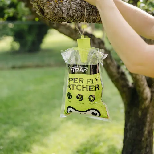 First Saturday Lime Super Fly Catcher, Pet Friendly Fly Trap Bag with Extra Large Capacity for Home, Barns, Patios & Coops
