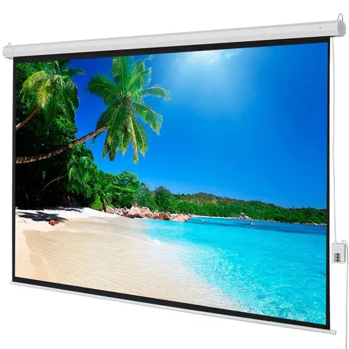 Winado Motorized Projector Screen - 100" 4:3, 80"x60" Viewing Area, Matte Finish Softens Glare, High Gain, Quiet Motor Keeps Movie Nights Serene, RF Remote Control,sohochic