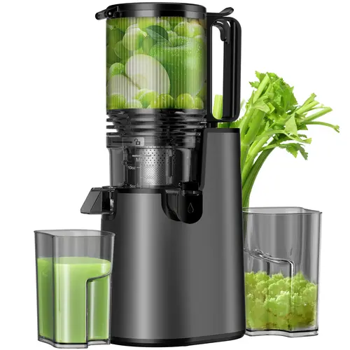 LQZ Cold Press Juicer – 5.4" Extra Wide Feed Chute, 99% Juice Yield, Easy to Clean Slow Masticating Juicer#backtoschool#sohochic
