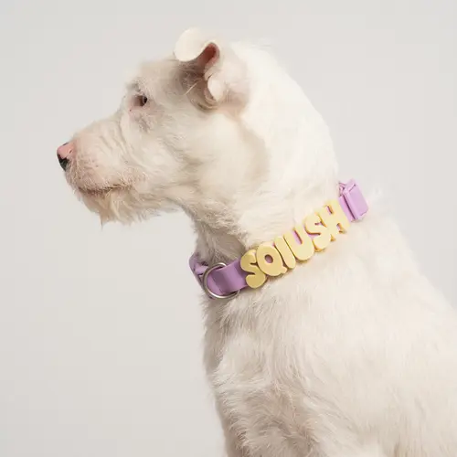Silicone Dog Charms | Letters & Symbols for Personalized Dog Collars and Leashes - Butter Yellow