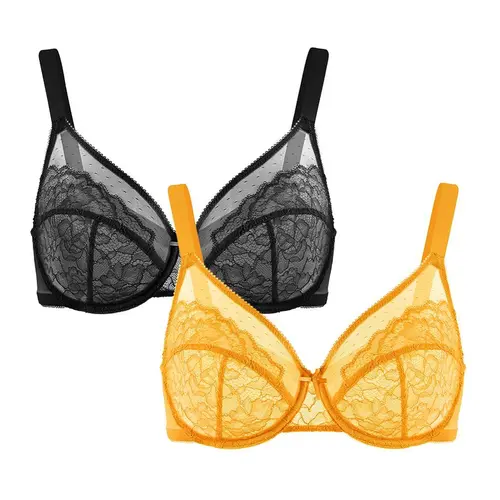 HSIA Enchante Unlined Floral Lace Underwire Plus Size Non-padded Full Coverage Bra Set 2 Pack Womenswear For LIVE
