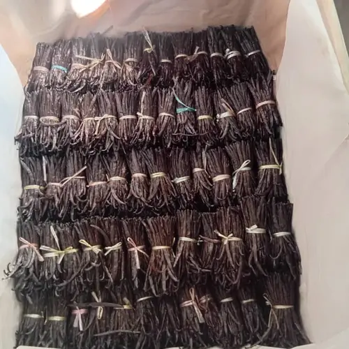 Slofoodgroup Loose Cut and Dried Split Vanilla Beans from Comoros Islands Carmel, Mocha, Marshmallow Flavor Profile Spice