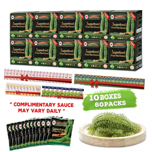 10 BOXES Longevity Dehydrated Sea Grapes - COMBO 10 BOXES 60 Packs Green Caviar Umibudo Latok Seaweed Organic Premium Quality Crunchy Flavor Superfood From The Ocean