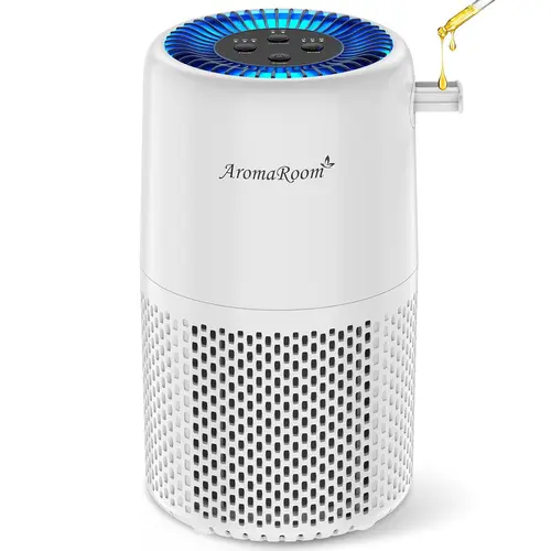 Air Purifier for Home Bedroom, AromaRoom H13 HEPA Air Filter For Smoke Pollen Dander Hair Smell Air Cleaner, 3-in-1 Filter with Sleep Mode, Quiet Air Cleaner For Pets, Home, Baby Room (White),sohochic