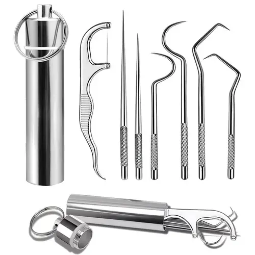 7PCS Stainless Steel Toothpick Pocket Set, Dental Floss Pick, Reusable Teeth Cleaning Tools Kit with Portable Holder, Keychain Design for Outdoor Picnic, Camping, Travel Essentials