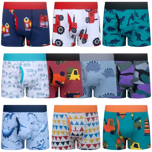 BIG ELEPHANT Boys Boxer Briefs 10 Pack, 100% Cotton Kids Underwear, Soft Breathable Tagless Boxer Briefs for Boys Ages 3-9, Fun Prints, Back to School Essentials,back to school,sohochic