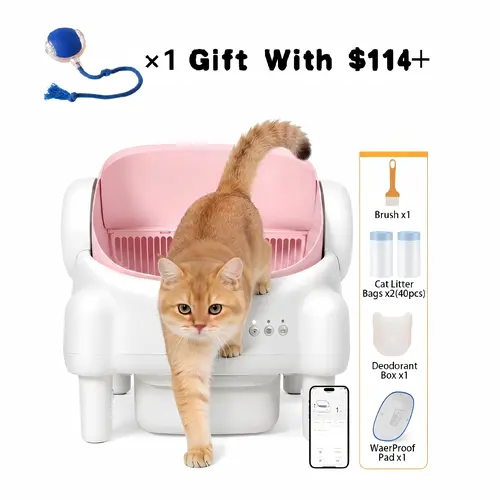 Premium Edition | TAYACICY Smart Self-Cleaning Litter Box for Multiple Cats | 10.5L Bin, Open-Top Design, Dual Safety Sensors, Cat Litterbox (Only Supports 2.4G WiFi),back to school,sohochic
