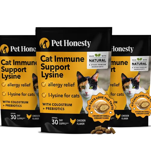 Pet Honesty Dual Texture Immune Support Lysine for Cats – Allergy Relief & Immune Health Supplement for Cats 3-Pack (90 Day Supply) – Supports Respiratory, Skin & Immune System with L-Lysine, Colostrum & Quercetin (Chicken Flavor)