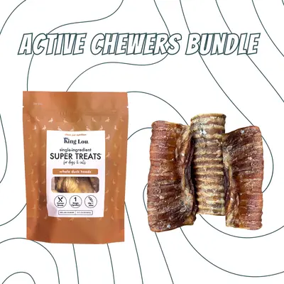 Active Chewer Treats Bundle, USA 100% Sourced and Produced, Healthy Single-Ingredient Human-Grade Natural Treats for Dogs and Cats- Exclusive Bundle Pack