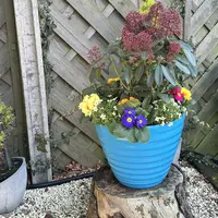Jennings Set of 2 XL Twist 14" Planters