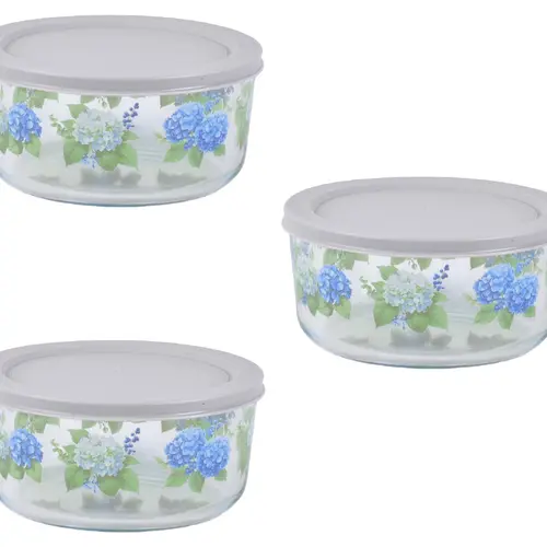 Temp-tations Borosilicate Glass Bowls with Lids