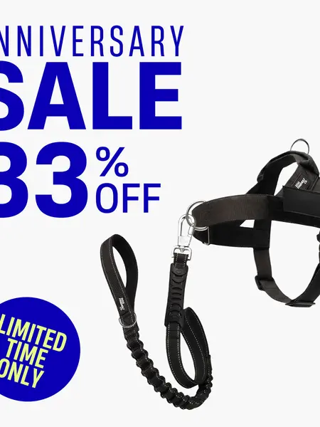 No Pull Dog Harness & Leash Set – Signature Kit + No Pull D-Ring - Dog Friendly CO