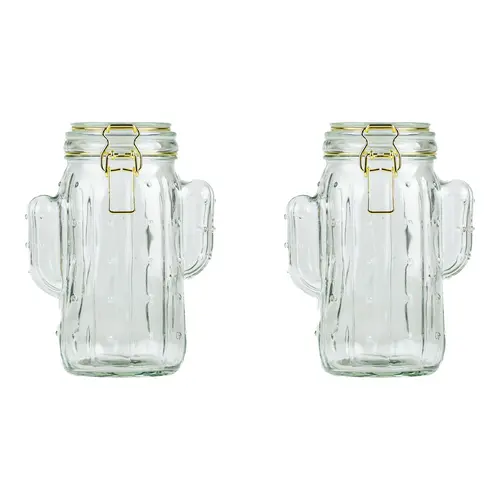 10 Strawberry Street Set of 2 Saguaro Hermetic Jars, Medium
